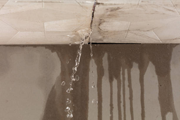 Professional Water Extraction technician working in Manchester, MI